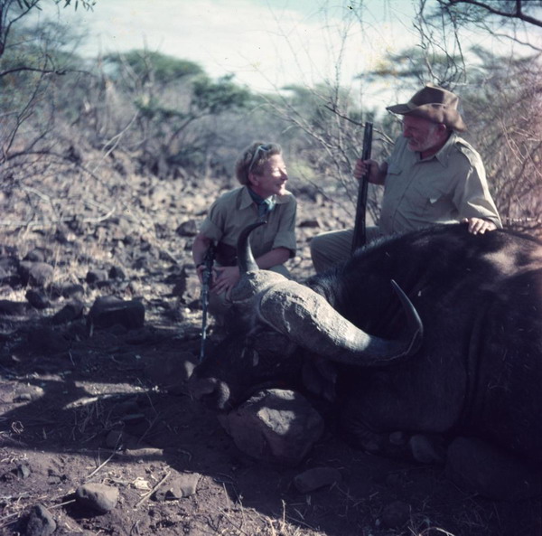 Хемингуэй с убитым буйволом