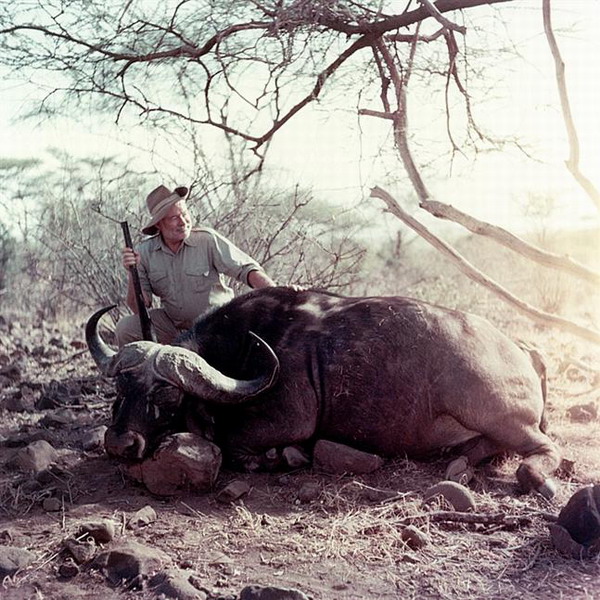 Хемингуэй в Африке с убитым буйволом